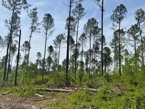 Rutland Road, Jayess, MS 39641 photo 40