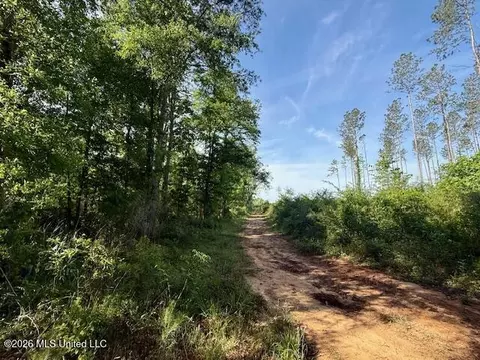 Rutland Road, Jayess, MS 39641 photo 5