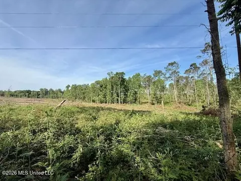 Rutland Road, Jayess, MS 39641 photo 63