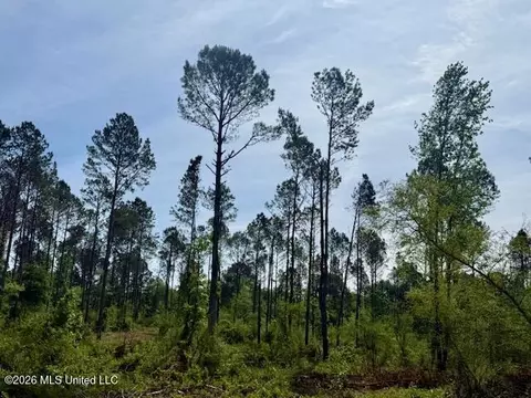 Rutland Road, Jayess, MS 39641 photo 39
