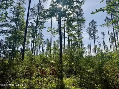 Rutland Road, Jayess, MS 39641 photo 23
