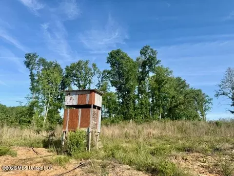 Rutland Road, Jayess, MS 39641 photo 9