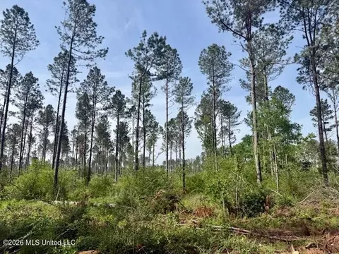 Rutland Road, Jayess, MS 39641 photo 58