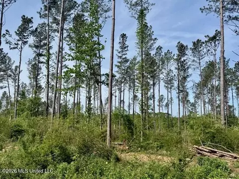 Rutland Road, Jayess, MS 39641 photo 46