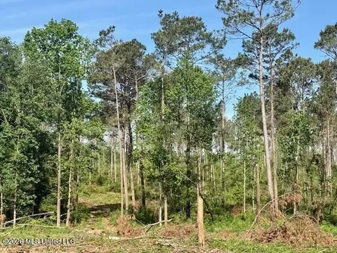 Rutland Road, Jayess, MS 39641 photo 62
