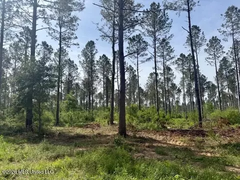 Rutland Road, Jayess, MS 39641 photo 56