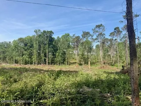 Rutland Road, Jayess, MS 39641 photo 61