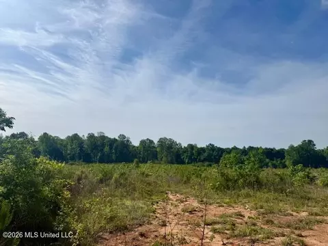 Rutland Road, Jayess, MS 39641 photo 7