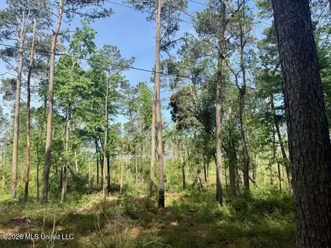 Rutland Road, Jayess, MS 39641 photo 65