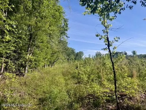 Rutland Road, Jayess, MS 39641 photo 12