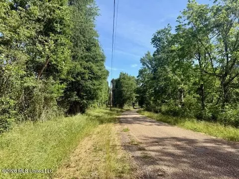 Rutland Road, Jayess, MS 39641 photo 47