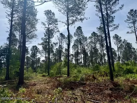 Rutland Road, Jayess, MS 39641 photo 59