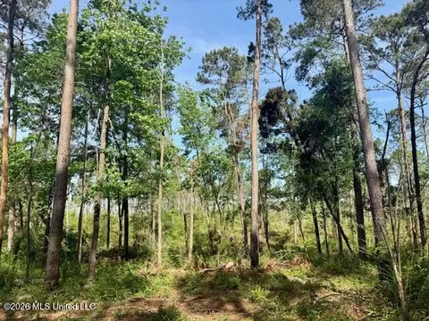 Rutland Road, Jayess, MS 39641 photo 66
