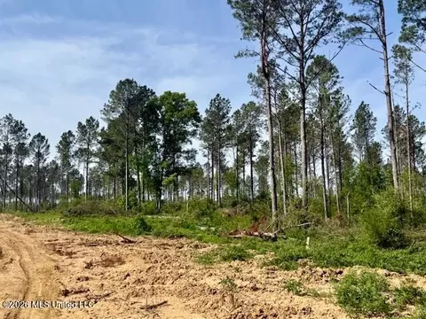 Rutland Road, Jayess, MS 39641 photo 34