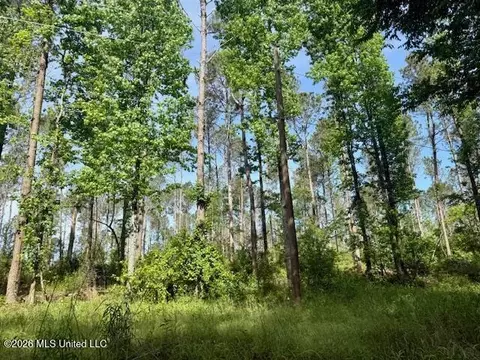 Rutland Road, Jayess, MS 39641 photo 50