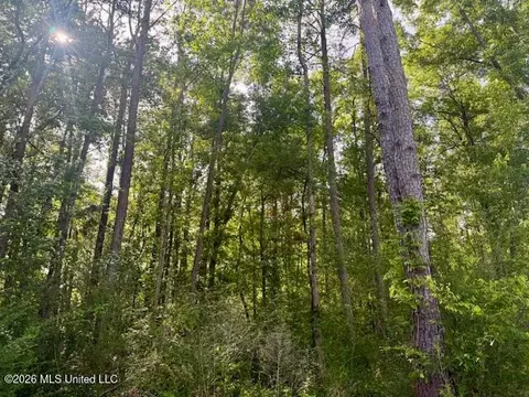 Rutland Road, Jayess, MS 39641 photo 3