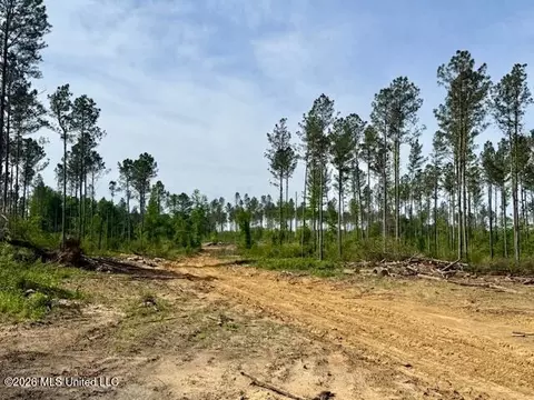 Rutland Road, Jayess, MS 39641 photo 42