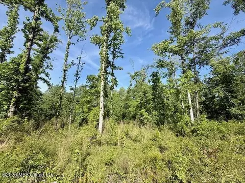 Rutland Road, Jayess, MS 39641 photo 19