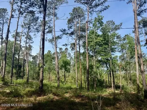 Rutland Road, Jayess, MS 39641 photo 64