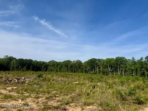 Rutland Road, Jayess, MS 39641 photo 10