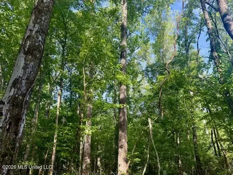 Rutland Road, Jayess, MS 39641 photo 15