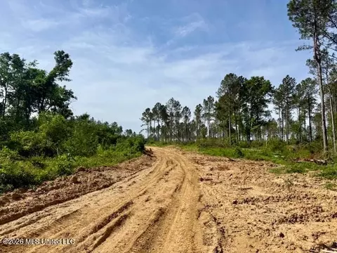 Rutland Road, Jayess, MS 39641 photo 32