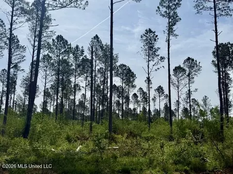 Rutland Road, Jayess, MS 39641 photo 45