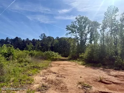 Rutland Road, Jayess, MS 39641 photo 16