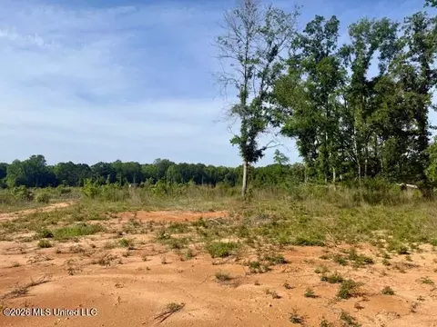 Rutland Road, Jayess, MS 39641 photo 17