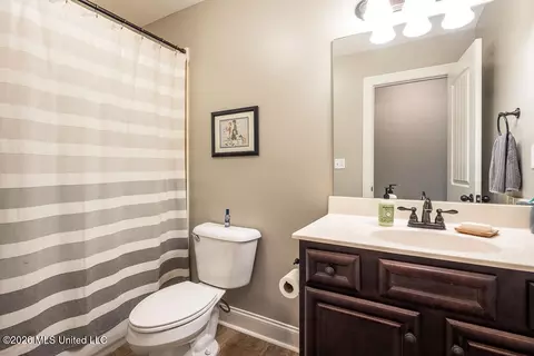 Bath - 3425 Delaney Dr, Nesbit, MS 38651 photo 3 of 3