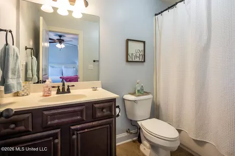 Bath - 3425 Delaney Dr, Nesbit, MS 38651 photo 2 of 3