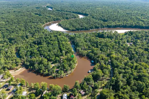 View/Area - 24748 Davis Dead River Cir, Lucedale, MS 39452 photo 10 of 12