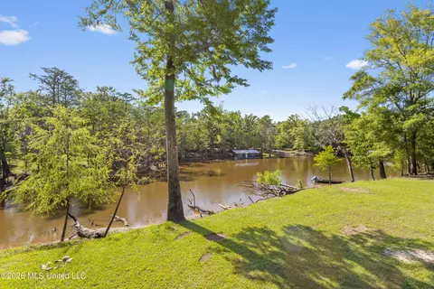 View/Area - 24748 Davis Dead River Cir, Lucedale, MS 39452 photo 4 of 12