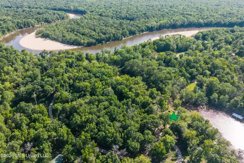 View/Area - 24748 Davis Dead River Cir, Lucedale, MS 39452 photo 11 of 12
