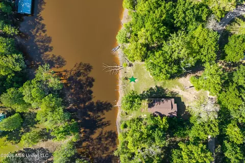 View/Area - 24748 Davis Dead River Cir, Lucedale, MS 39452 photo 7 of 12