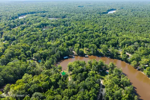 View/Area - 24748 Davis Dead River Cir, Lucedale, MS 39452 photo 12 of 12