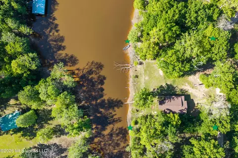 View/Area - 24748 Davis Dead River Cir, Lucedale, MS 39452 photo 8 of 12