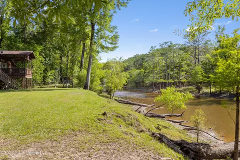 Exterior - 24748 Davis Dead River Cir, Lucedale, MS 39452 photo 6 of 8