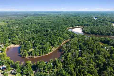 View/Area - 24748 Davis Dead River Cir, Lucedale, MS 39452 photo 1 of 12