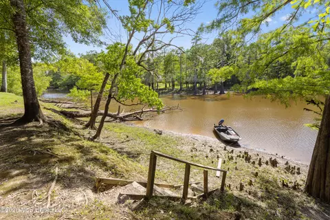 View/Area - 24748 Davis Dead River Cir, Lucedale, MS 39452 photo 6 of 12