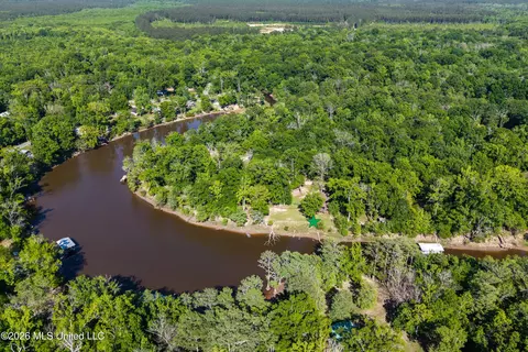View/Area - 24748 Davis Dead River Cir, Lucedale, MS 39452 photo 9 of 12