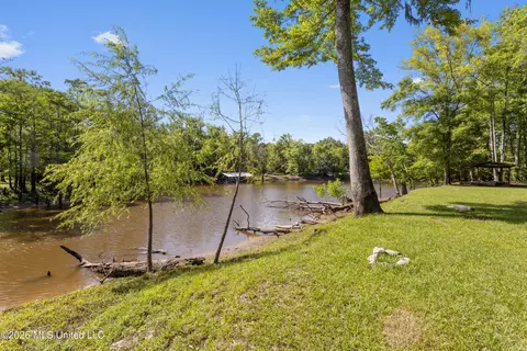 View/Area - 24748 Davis Dead River Cir, Lucedale, MS 39452 photo 3 of 12