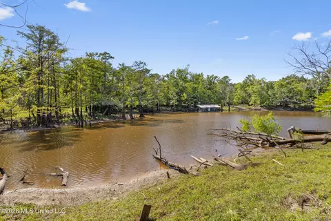 View/Area - 24748 Davis Dead River Cir, Lucedale, MS 39452 photo 5 of 12