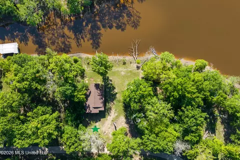 Other - 24748 Davis Dead River Cir, Lucedale, MS 39452 photo 16 of 16