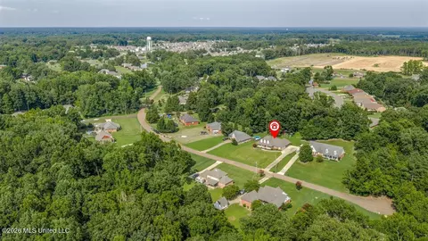 View/Area - 3686 Rhett Butler Dr, Hernando, MS 38632 photo 3 of 4