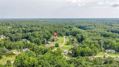 View/Area - 3686 Rhett Butler Dr, Hernando, MS 38632 photo 4 of 4
