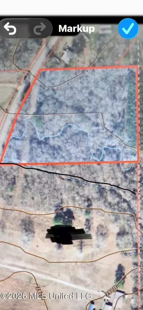 Noblin Bridge Dr. Road, Pelahatchie, MS 39145