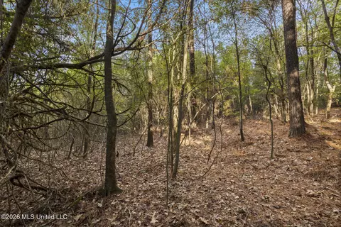 Other - 2049 Cleary Rd, Florence, MS 39073 photo 8 of 11