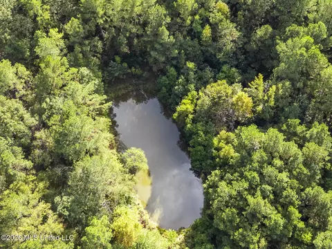 View/Area - 2049 Cleary Rd, Florence, MS 39073 photo 2 of 2