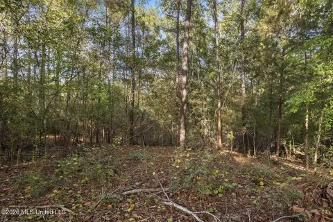 Other - 2049 Cleary Rd, Florence, MS 39073 photo 6 of 11